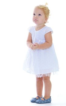 Very small charming little girl in a white dress. Isolated on white background .