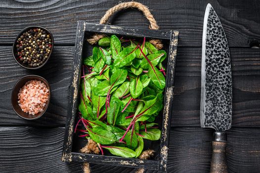 Raw chard leaves, mangold, swiss chard in a wooden tray. Black Wooden background. Top view.