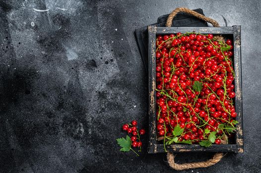 Organic Red currant berries in a wooden box. Black background. Top view. Copy space.