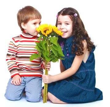 Brother and sister sniffing bouquet of yellow flowers.Isolated on white background portrait.