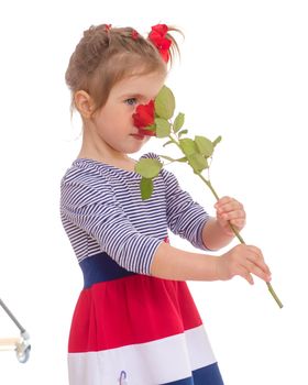 Fashionable little girl with a rose.Isolated on white.