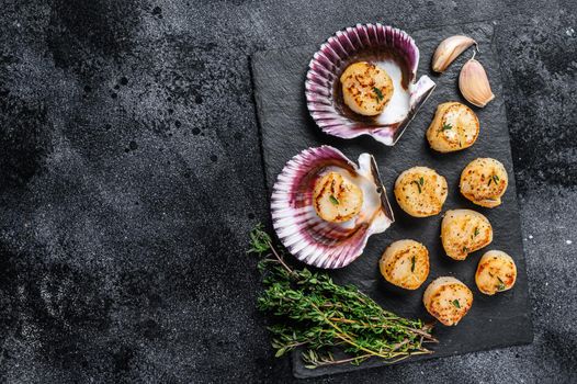 Fried seafood scallops meat with butter in a shells. Black background. Top view. Copy space.