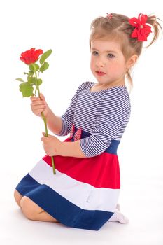 Charming girl holding a rose