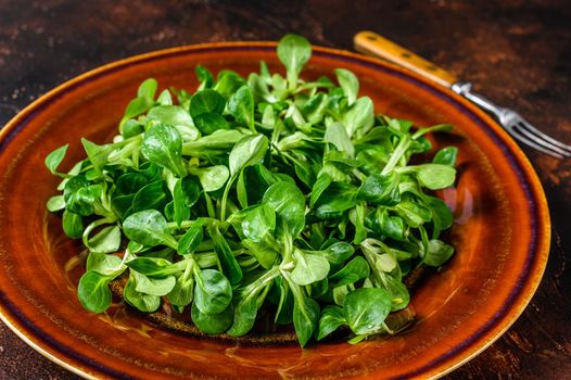 Fresh green corn salad leaves on a rustic plate. Dark background. Top view.