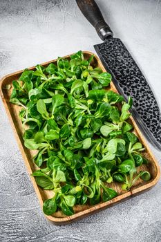 Raw green lambs lettuce Corn salad leaves in a wooden tray. White background. Top view.