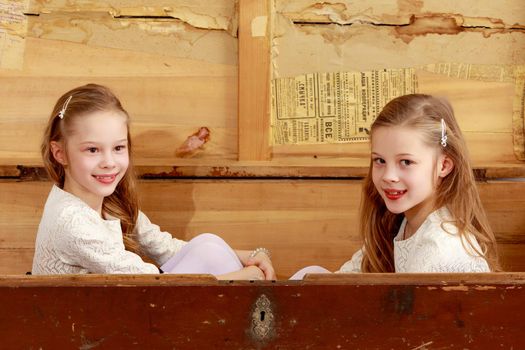 2 happy little girls twins, hiding in a big old trunk.Retro style.