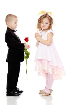 Little boy in black suit with bow tie gives a big red rose charming little girl.Isolated on white background.