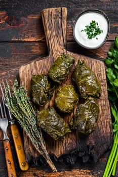 Dolma traditional Caucasian, Turkish and Greek cuisine. Dark wooden background. Top view.