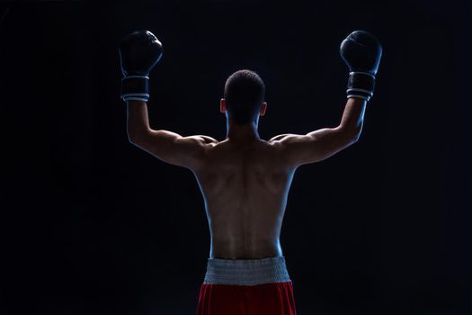 Back view of man boxer with raised hands in victory gesture. Concept of hard sport, glory and success. Studio shot on a black background