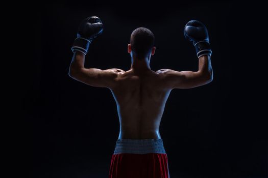 Back view of man boxer with raised hands in victory gesture. Concept of hard sport, glory and success. Studio shot on a black background