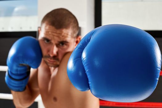 Boxer in blue gloves in the gym. He looks into the camera. Beat in the camera