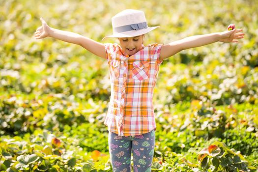 little girl picking strawberries in the field