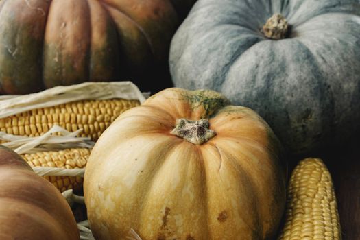 Toned autumn background of pumpkins and corn close up