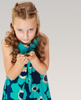 Beautiful little girl holding hands the little turtle. Close-up.On a gray background.