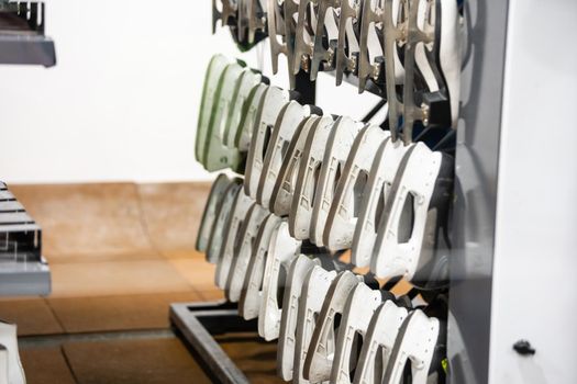 Rows of white ice skates. hire of winter sports equipment. shelves with skates