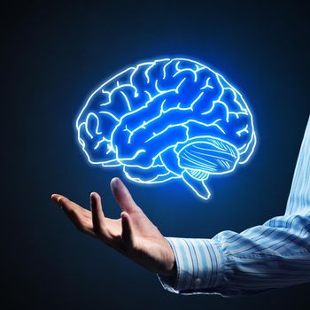 Close up of businessman hand holding brain in palm