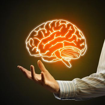 Close up of businessman hand holding brain in palm