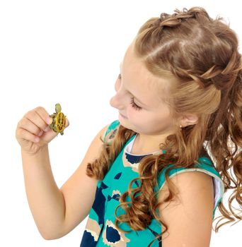 Caucasian little girl holding in hands a small turtle. Close-up.Isolated on white background.