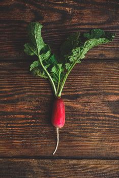 Homegrown fresh red radish on wooden table