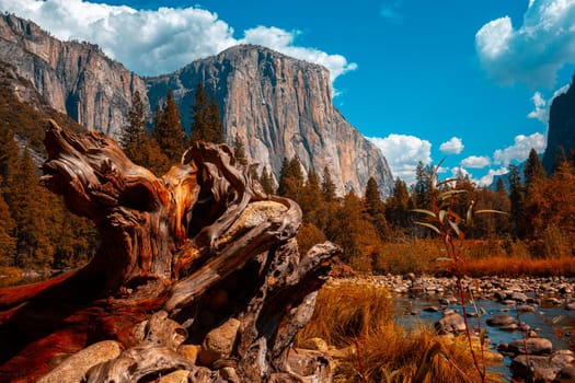 World famous rock climbing wall of El Capitan, Yosemite national park, California, usa