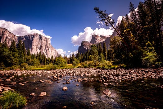 World famous rock climbing wall of El Capitan, Yosemite national park, California, usa