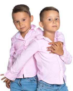 Two cute little boys, brothers close-up. The concept of a happy childhood, the development of a child in the family. Isolated on white background.
