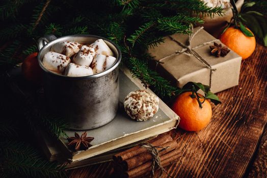 Hot chocolate with marshmallows and gingerbread. Christmas gift wrapped with paper.