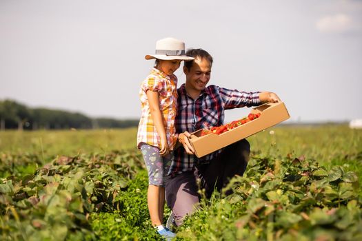 Father and child holding wild picked strawberries in summer