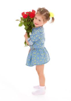 Little girl in a blue dress and white socks is with a bouquet of red roses in his hands on a white background