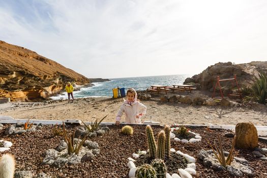 Atlantic ocean wild coast, Tenerife, Canary islands, Spain