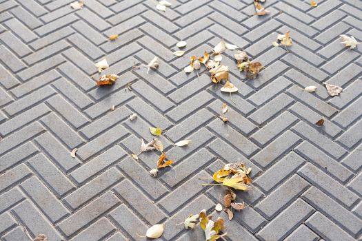 Autumn leaves on a cobblestone street. Background