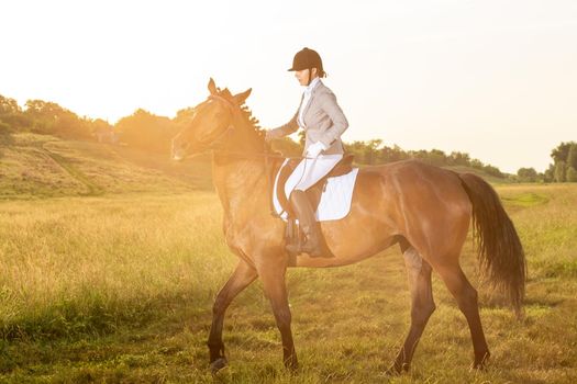 Equestrian sport. Young woman riding horse on dressage advanced test. Horse walk in summer. Sun flare