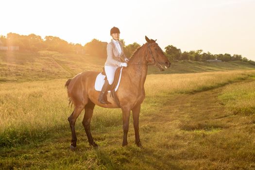Equestrian sport. Young woman riding horse on dressage advanced test. Horse walk in summer. Sun flare