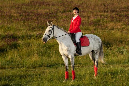 The sportswoman on a horse. The horsewoman on a red horse. Equestrianism. Horse riding racing. Rider on a horse.