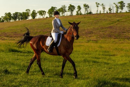 Young woman riding a horse on the green field. Horseback Riding. Competition. Hobby