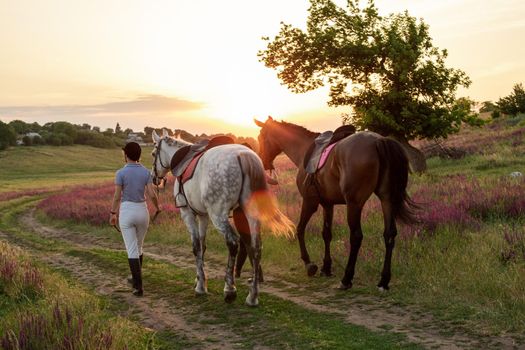 Two woman and two horses outdoor in summer happy sunset together nature. Taking care of animals, love and friendship concept.