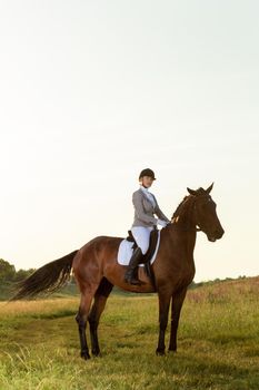 Equestrian sport. Young woman riding horse on dressage advanced test. Horse walk in summer