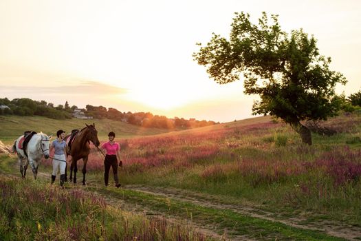 Two woman and two horses outdoor in summer happy sunset together nature. Taking care of animals, love and friendship concept.