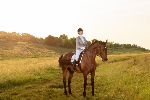 Equestrian sport. Young woman riding horse on dressage advanced test. Horse walk in summer
