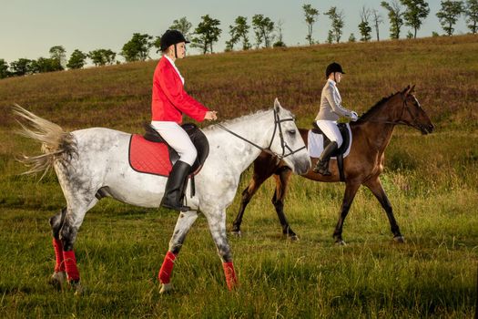 Two young women riding horse in park. Horse walk in summer. Outdoor photography in lifestyle mood