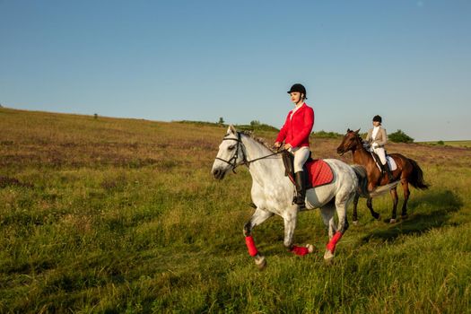 Horseback riders. Two attractive women ride horses on a green meadow. Horse riding. Horse racing. Rider on a horse.