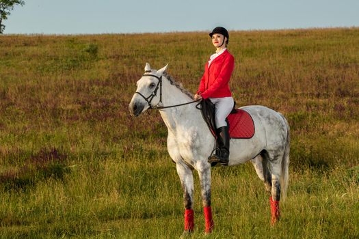 The sportswoman on a horse. The horsewoman on a red horse. Equestrianism. Horse riding racing. Rider on a horse.