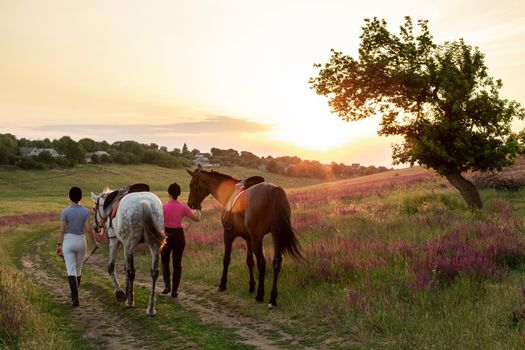 Two woman and two horses outdoor in summer happy sunset together nature. Taking care of animals, love and friendship concept.