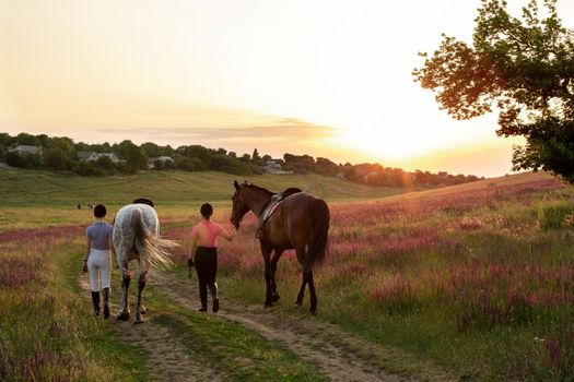 Two woman and two horses outdoor in summer happy sunset together nature. Taking care of animals, love and friendship concept.