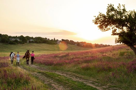 Two woman and two horses outdoor in summer happy sunset together nature. Taking care of animals, love and friendship concept.