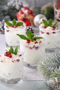 White Christmas mojito made from liqueur, tequila, coconut milk with pomegranate seeds, coconut flakes and refreshing mint.