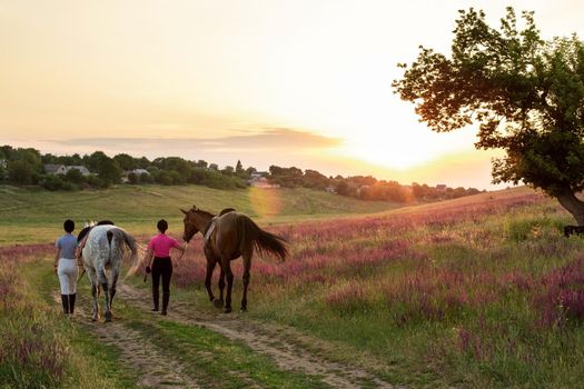 Two woman and two horses outdoor in summer happy sunset together nature. Taking care of animals, love and friendship concept.