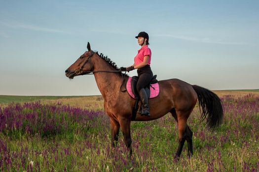 Horsewoman jockey in uniform riding horse outdoors. Sunset. Horseback Riding. Competition. Hobby