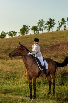 Young woman rider with her horse in evening sunset light. Outdoor photography in lifestyle mood. Equestrianism. Horse riding. Horse racing. Rider on a horse.