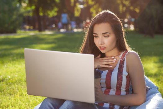 Pretty young woman sitting on bean bag use laptop while resting on grass in park on the sun. Success small business, modern lifestyle, information technology, or online shopping concept